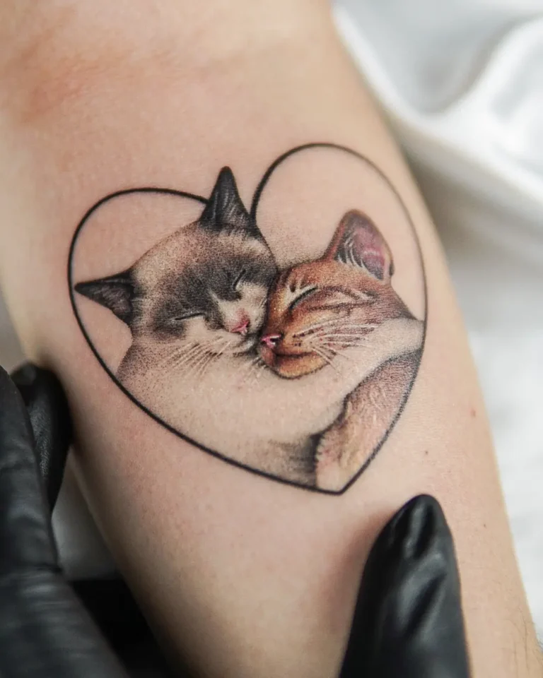 ㅤRetratos de pet