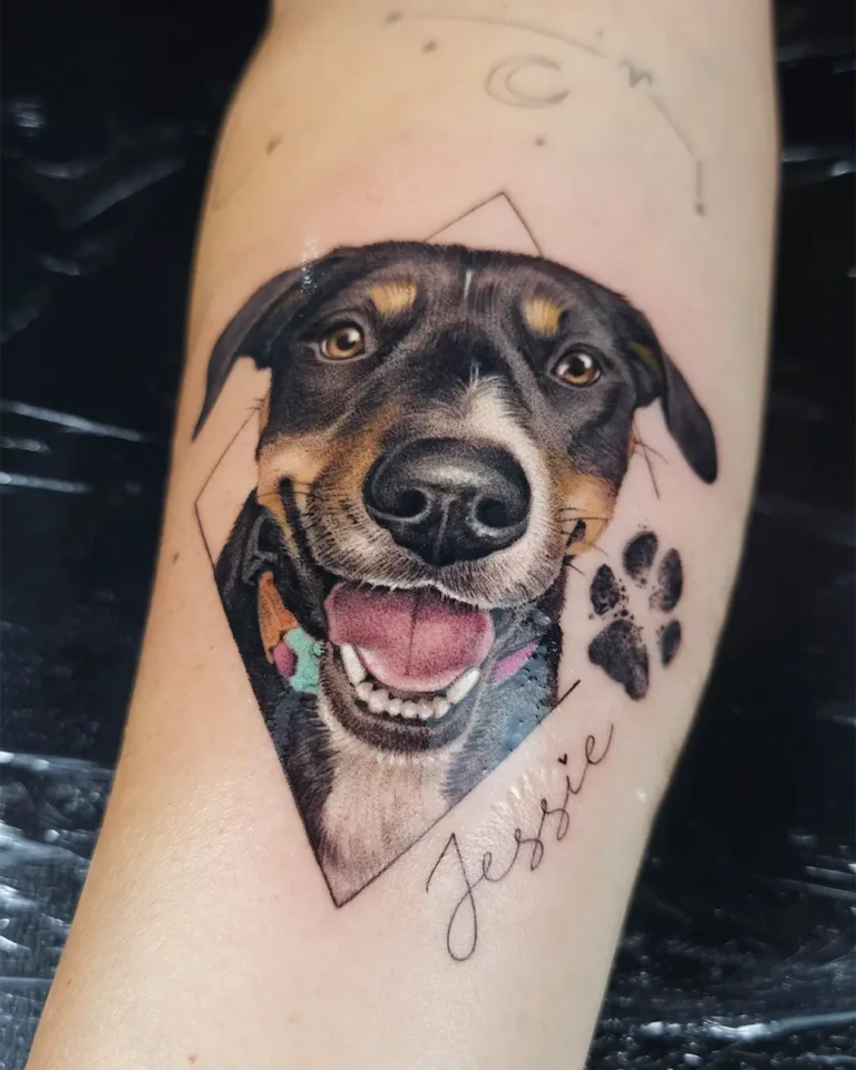 ㅤRetratos de pet