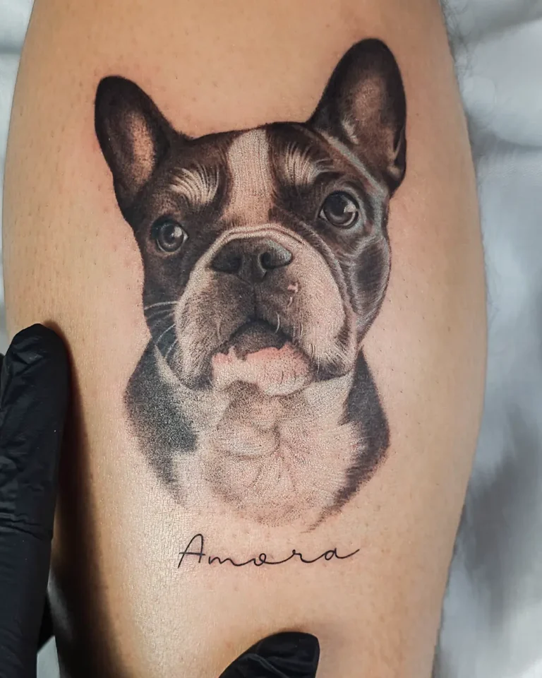 ㅤRetratos de pet